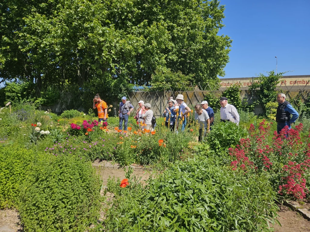 Visite au jardin botanique de la Charme